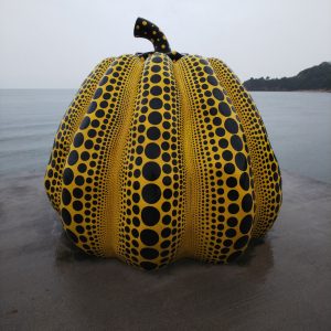 Yellow Pumpkin in the Rain and more 6
