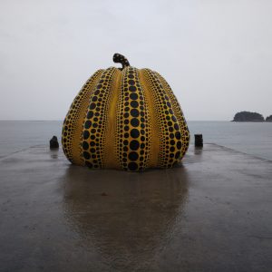 Yellow Pumpkin in the Rain and more 8