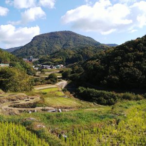 Shodoshima November 2018 7 Nakayama