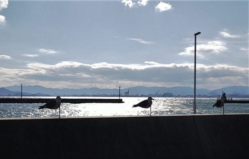3 Seagull Parking Lot