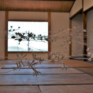 Setouchi Triennale 2019 – Part Six – Ogijima 12