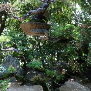 Setouchi Triennale 2019 – Part Seven – Megijima 40