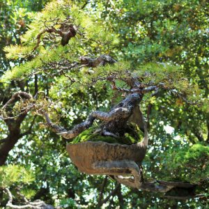 Setouchi Triennale 2019 – Part Seven – Megijima 42