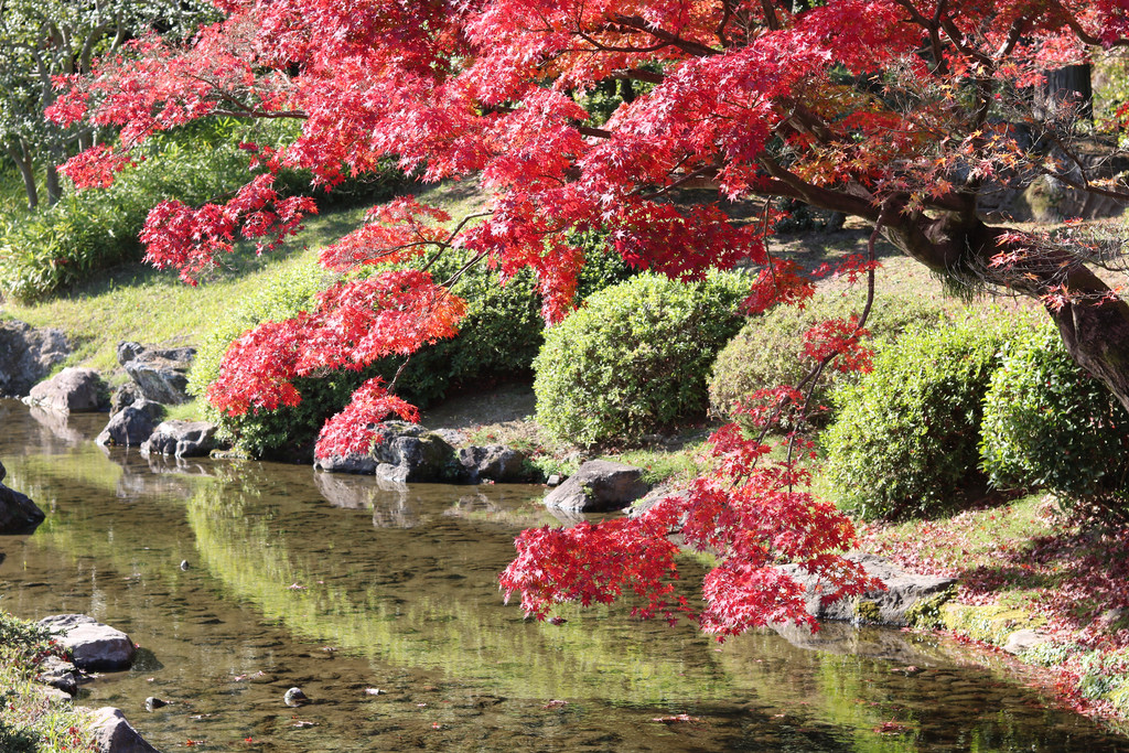 Ritsurin Garden Takamatsu Autumn 2020 29