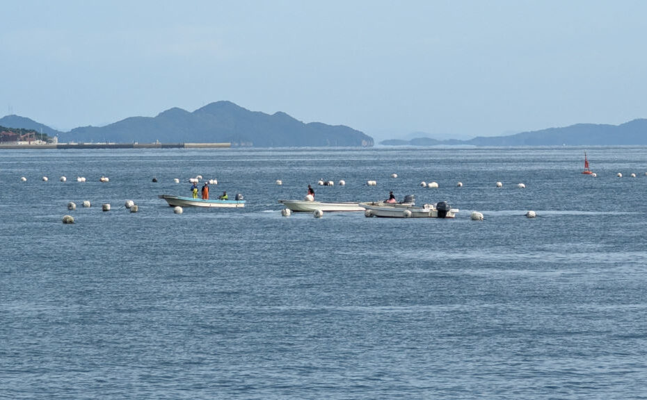 Boats installing the nori fields in the Seto Inland Sea